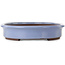 Maceta ovalada azul para bonsái de Yamaaki Toshio (tercera generación) - 565 x 420 x 85 mm