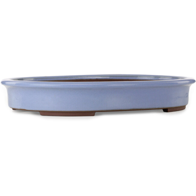 Vaso bonsai ovale blu di Yamaaki Toshio (terza generazione) - 565 x 420 x 85 mm