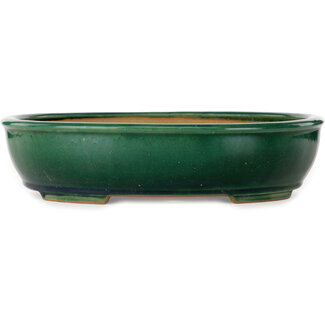 Ikkou - Watanabe Kazuhiro æ¸¡è¾ºä¸€å¼˜ Pot à bonsaï ovale vert de 370 mm, de la marque Ikkou, Tokoname, Japon