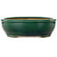 Ovale groene bonsaipot van Ikkou - 370 x 305 x 88 mm