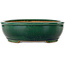 Vaso bonsai ovale verde di Ikkou - 370 x 305 x 88 mm