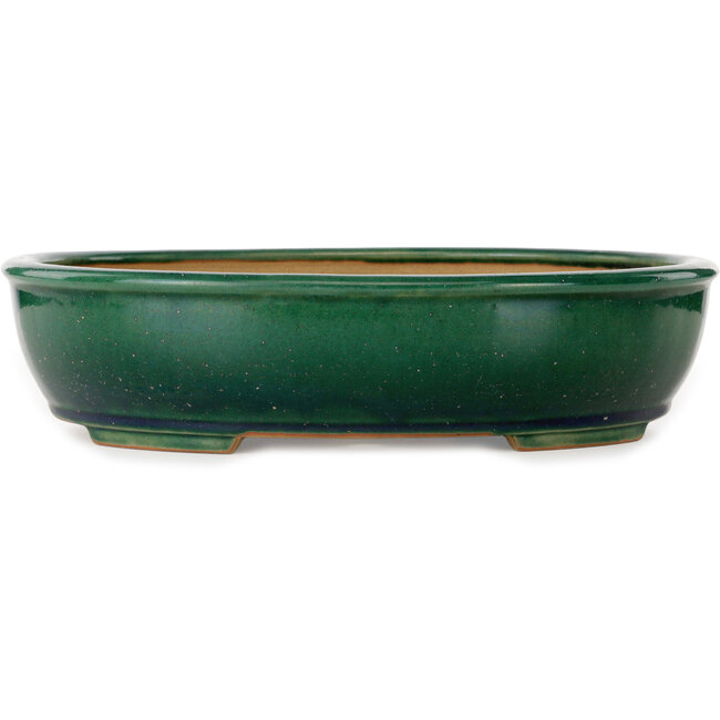 Oval green bonsai pot by Ikkou - 370 x 305 x 88 mm