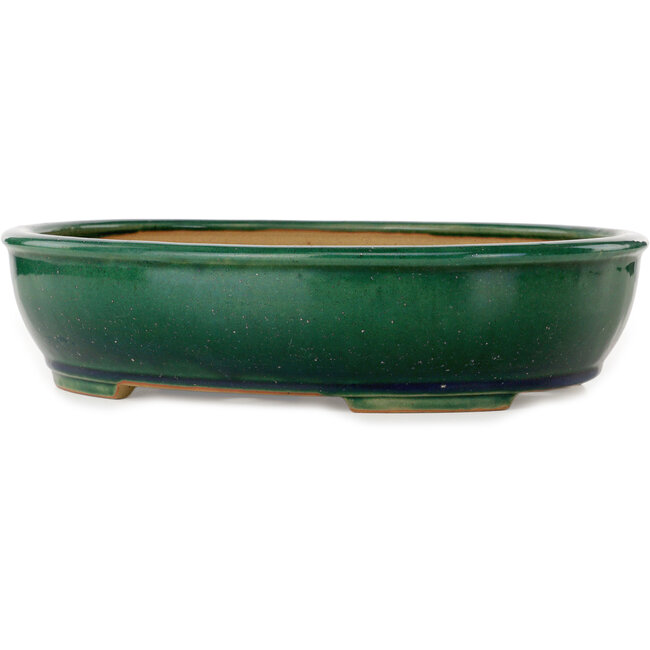 Pot ovale vert pour bonsaï par Ikkou - 370 x 305 x 88 mm