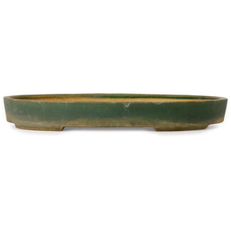  Shuuhou (Hidemi Kataoka) 538 mm oval green bonsai pot by Shuhou, Tokoname, Japan