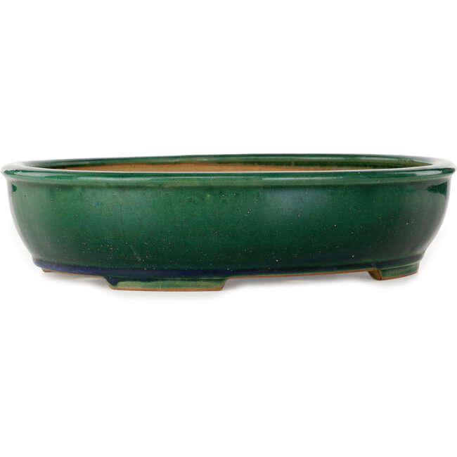 Ovale groene bonsaipot van Ikkou - 370 x 305 x 88 mm