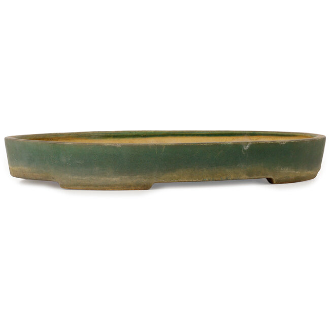 Maceta ovalada verde para bonsái de Shuhou - 538 x 360 x 65 mm