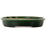 Maceta ovalada para bonsái verde de Terahata Satomi Mazan - 570 x 425 x 70 mm