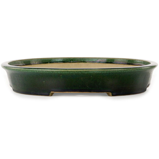 Ovale groene bonsaipot van Terahata Satomi Mazan - 570 x 425 x 70 mm
