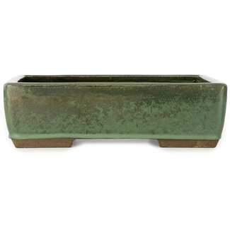 Taizan Maceta rectangular para bonsái verde de 320 mm de Taizan, Tokoname, Japón