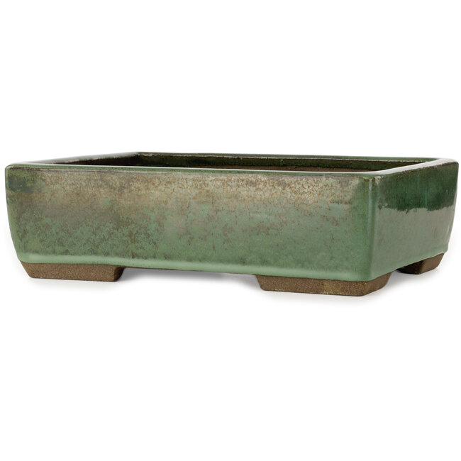 Pot à bonsaï rectangulaire vert de Taizan - 320 x 243 x 90 mm