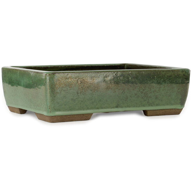 Rechthoekige groene bonsaipot van Taizan - 320 x 243 x 90 mm