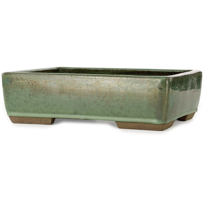 Pot à bonsaï rectangulaire vert de Taizan - 320 x 243 x 90 mm