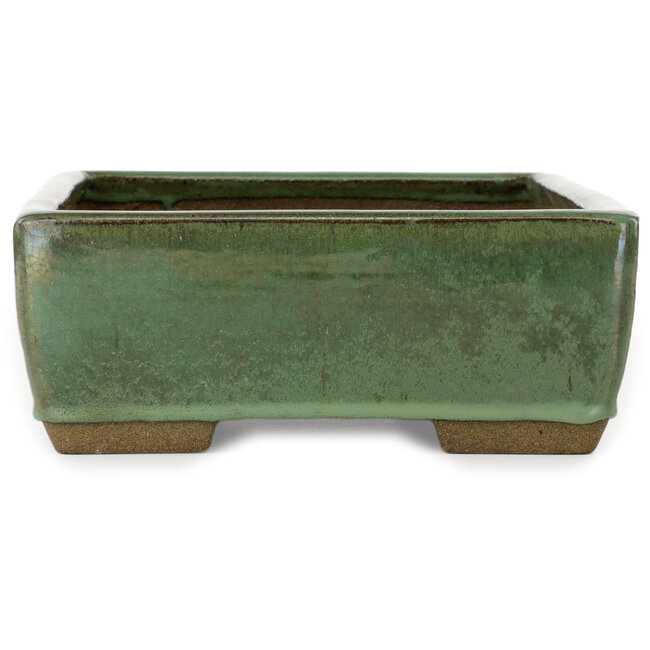 Rechthoekige groene bonsaipot van Taizan - 320 x 243 x 90 mm