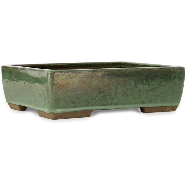 Rechthoekige groene bonsaipot van Taizan - 320 x 243 x 90 mm