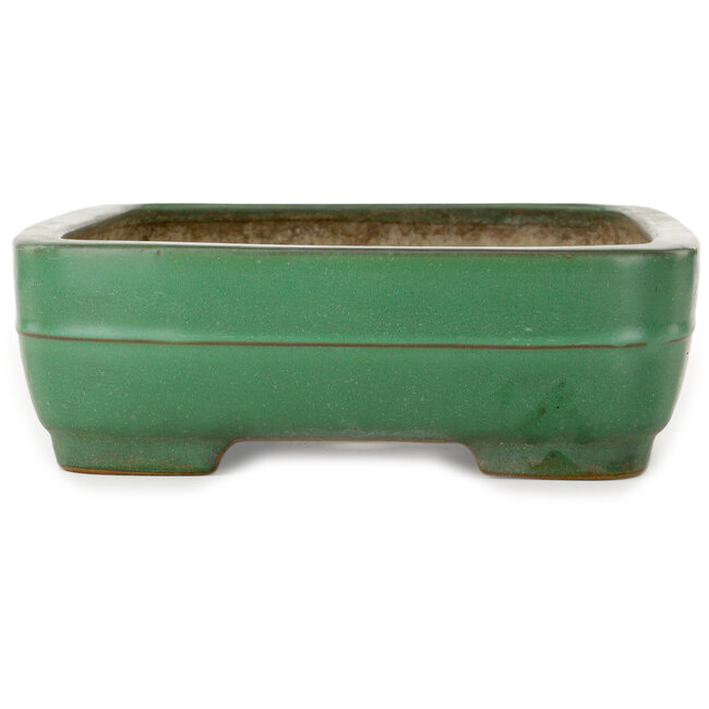 Vaso bonsai rettangolare verde di Yamafusa - 375 x 288 x 90 mm