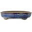 Oval blue bonsai pot by Shuhou - 425 x 333 x 65 mm