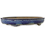 Oval blue bonsai pot by Shuhou - 425 x 333 x 65 mm