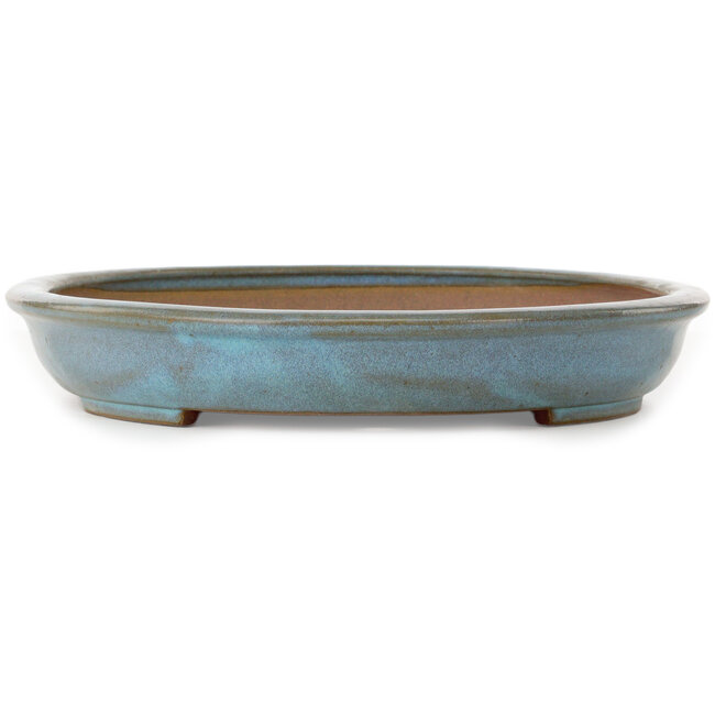 Oval blue bonsai pot by Seizan (Reihou, Kataoka Katsushi, master Seizan kiln) - 455 x 333 x 52 mm