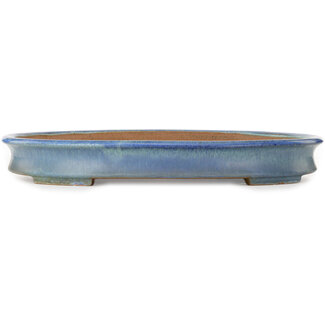  Yamafusa - Takehiko Koie 463 mm oval blue bonsai pot by Yamafusa and Hosui, Tokoname, Japan