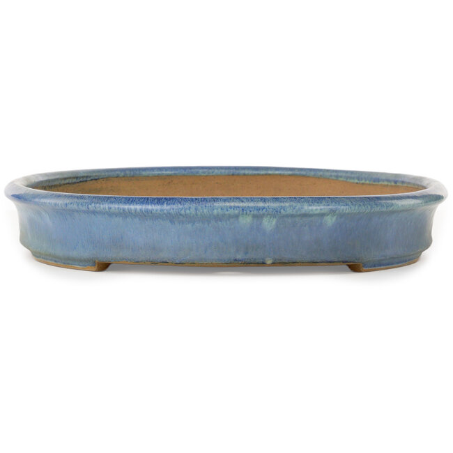 Oval blue bonsai pot by Yamafusa - 473 x 338 x 55 mm