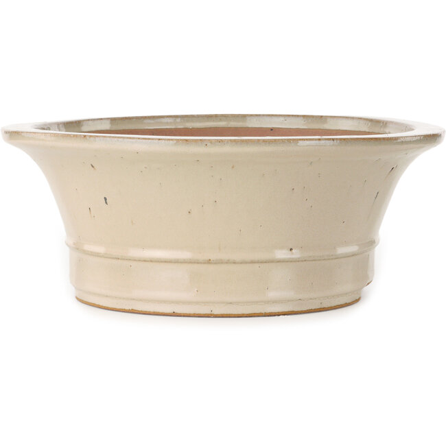 Maceta ovalada para bonsái de color blanquecino de Seizan (Reihou, Kataoka Katsushi, maestro del horno Seizan) - 408 x 357 x 130 mm