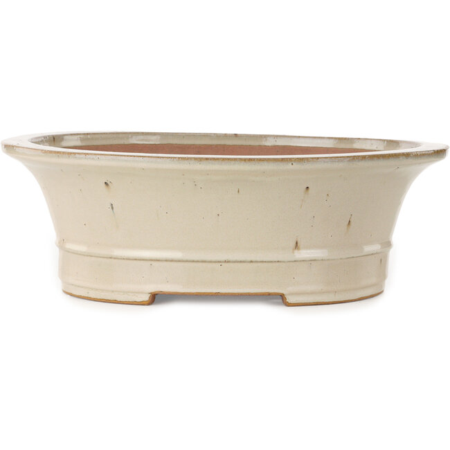 Maceta ovalada para bonsái de color blanquecino de Seizan (Reihou, Kataoka Katsushi, maestro del horno Seizan) - 408 x 357 x 130 mm