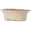 Oval off-white bonsai pot by Seizan (Reihou, Kataoka Katsushi, master Seizan kiln) - 408 x 357 x 130 mm