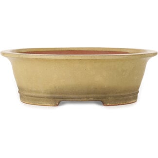 Seizan (Reihou, Kataoka Katsushi, master Seizan kiln) 410 mm ovale gebroken witte bonsaipot van Seizan (Reihou, Kataoka Katsushi, meester Seizan oven), Tokoname, Japan