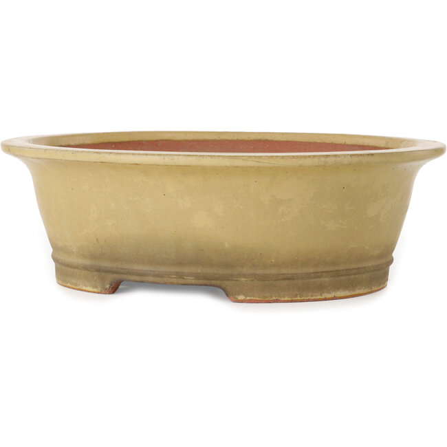 Vaso bonsai ovale bianco sporco di Seizan (Reihou, Kataoka Katsushi, forno del maestro Seizan) - 410 x 355 x 130 mm