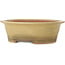 Ovale gebroken witte bonsaipot van Seizan (Reihou, Kataoka Katsushi, meester Seizan oven) - 410 x 355 x 130 mm