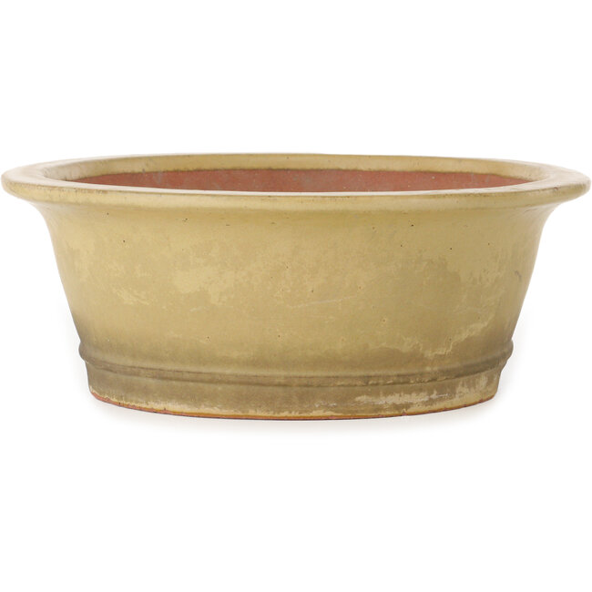 Oval off-white bonsai pot by Seizan (Reihou, Kataoka Katsushi, master Seizan kiln) - 410 x 355 x 130 mm