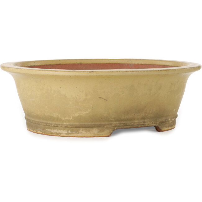 Vaso bonsai ovale bianco sporco di Seizan (Reihou, Kataoka Katsushi, forno del maestro Seizan) - 410 x 355 x 130 mm