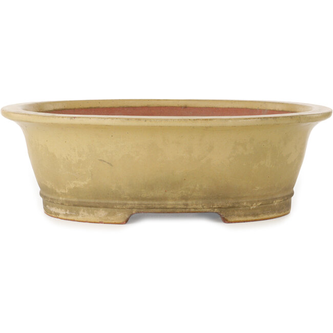 Pot à bonsaï ovale blanc cassé par Seizan (Reihou, Kataoka Katsushi, maître four Seizan) - 410 x 355 x 130 mm