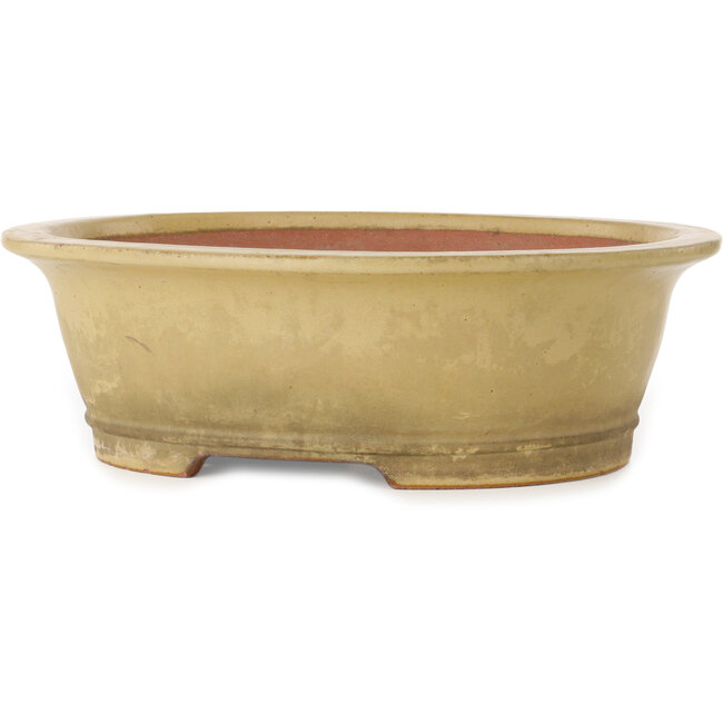 Oval off-white bonsai pot by Seizan (Reihou, Kataoka Katsushi, master Seizan kiln) - 410 x 355 x 130 mm