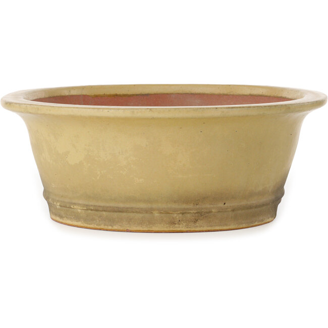 Maceta ovalada para bonsái de color blanquecino de Seizan (Reihou, Kataoka Katsushi, maestro del horno Seizan) - 410 x 355 x 130 mm