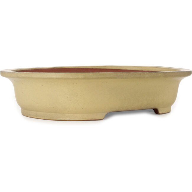 Ovaler, cremefarbener Bonsaitopf von Seizan (Reihou, Kataoka Katsushi, Meister Seizan-Ofen) – 525 x 415 x 115 mm