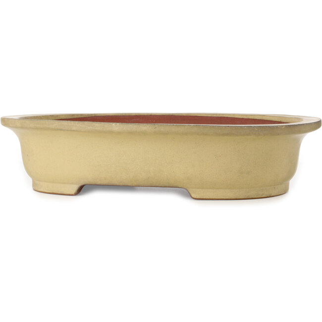 Ovaler, cremefarbener Bonsaitopf von Seizan (Reihou, Kataoka Katsushi, Meister Seizan-Ofen) – 525 x 415 x 115 mm