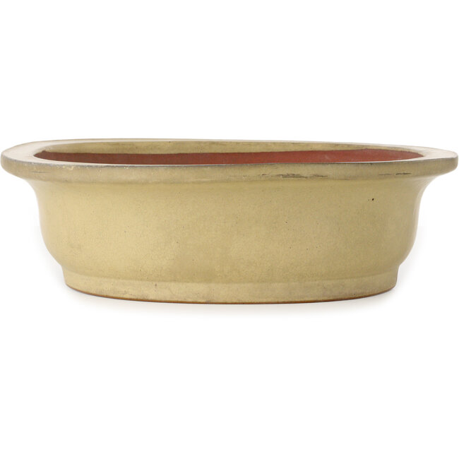 Maceta ovalada para bonsái de color blanquecino de Seizan (Reihou, Kataoka Katsushi, maestro del horno Seizan) - 525 x 415 x 115 mm