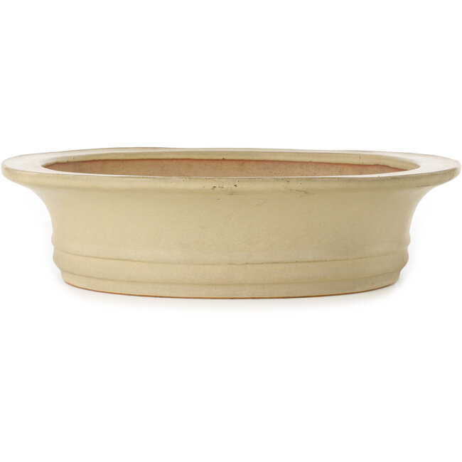 Vaso bonsai ovale bianco sporco di Seizan (Reihou, Kataoka Katsushi, forno del maestro Seizan) - 503 x 405 x 98 mm