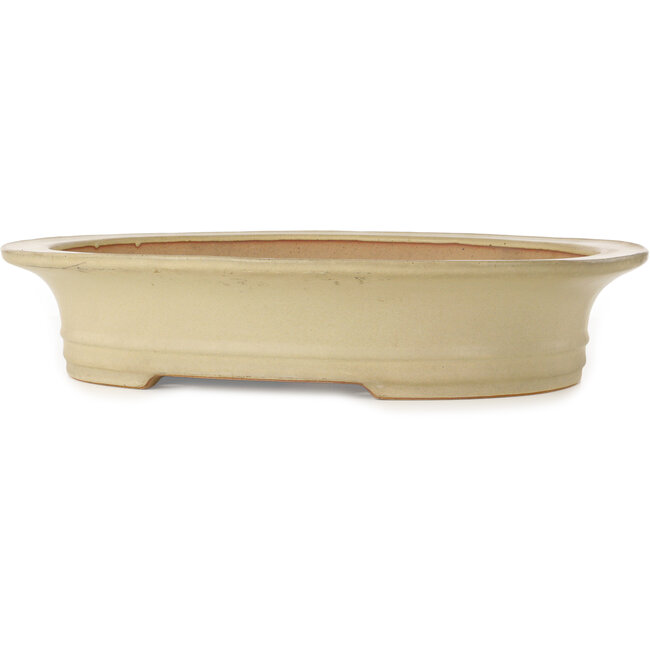 Oval off-white bonsai pot by Seizan (Reihou, Kataoka Katsushi, master Seizan kiln) - 503 x 405 x 98 mm