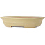Oval off-white bonsai pot by Seizan (Reihou, Kataoka Katsushi, master Seizan kiln) - 515 x 405 x 105 mm