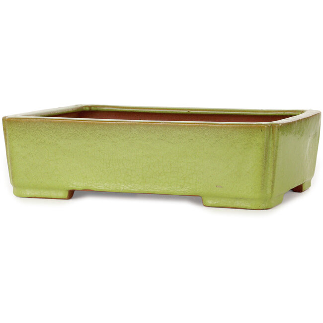 Rectangular yellow bonsai pot by Seizan (Reihou, Kataoka Katsushi, master Seizan kiln) - 345 x 250 x 95 mm