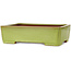 Rectangular yellow bonsai pot by Seizan (Reihou, Kataoka Katsushi, master Seizan kiln) - 345 x 250 x 95 mm