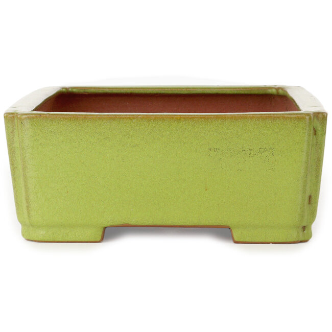 Vaso bonsai rettangolare giallo di Seizan (Reihou, Kataoka Katsushi, forno del maestro Seizan) - 345 x 250 x 95 mm