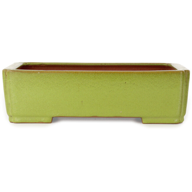 Vaso bonsai rettangolare giallo di Seizan (Reihou, Kataoka Katsushi, forno del maestro Seizan) - 345 x 250 x 95 mm