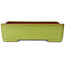 Rectangular yellow bonsai pot by Seizan (Reihou, Kataoka Katsushi, master Seizan kiln) - 345 x 250 x 95 mm