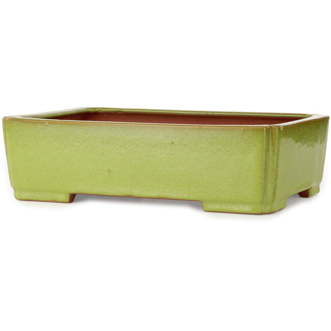 Pot à bonsaï rectangulaire jaune par Seizan (Reihou, Kataoka Katsushi, maître four Seizan) - 345 x 250 x 95 mm