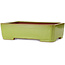 Maceta rectangular amarilla para bonsái de Seizan (Reihou, Kataoka Katsushi, maestro del horno Seizan) - 345 x 250 x 95 mm