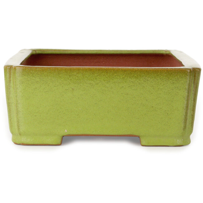 Rectangular yellow bonsai pot by Seizan (Reihou, Kataoka Katsushi, master Seizan kiln) - 345 x 250 x 95 mm