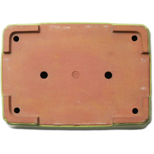 Pot à bonsaï rectangulaire jaune par Seizan (Reihou, Kataoka Katsushi, maître four Seizan) - 345 x 250 x 95 mm